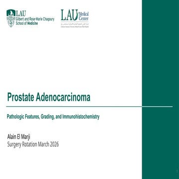 Prostate carcinoma- pathology and staging | PDF
