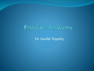 'anatomy of prostate' on SlideShare