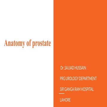 Anatomy and physiology of prostate | PPTX