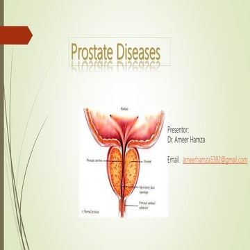 Prostate diseases