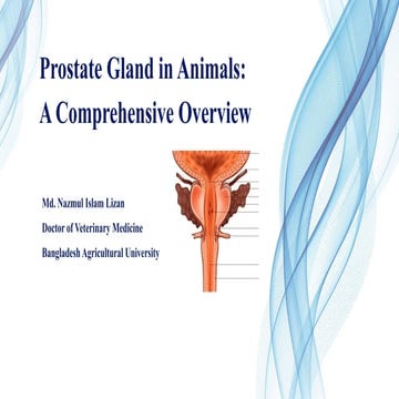 Prostate Gland in Animals:  A Comprehensive Overview