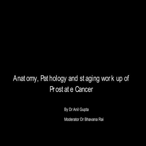 Anatomy, pathology an staging work up of prostate cancer