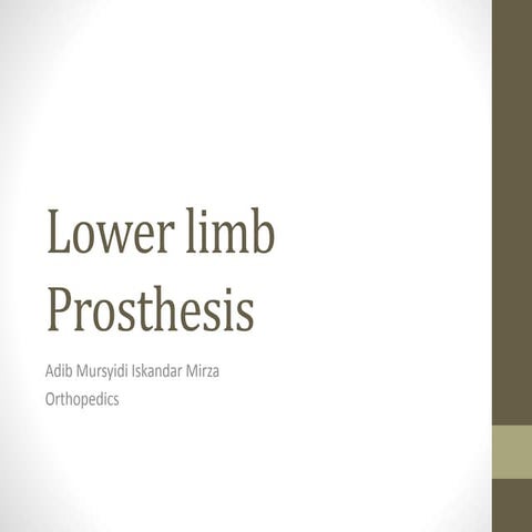 Lower Limbs Prosthesis 