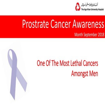 Prostate Cancer: CyberKnife® Treatment Overview | PDF