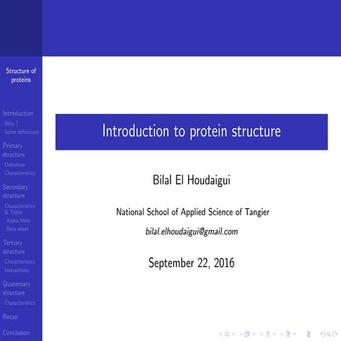 Introduction to protein structure