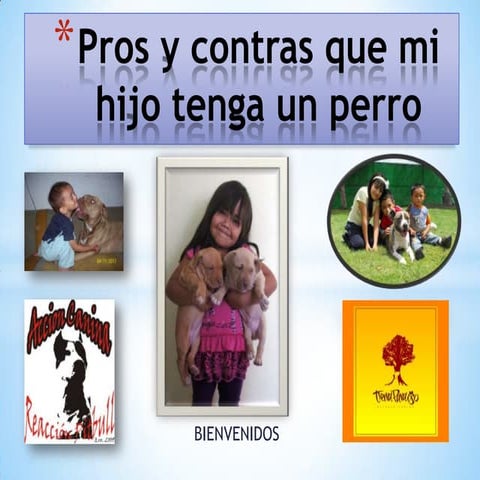 Pros y contras de que mi hijo tenga un perro