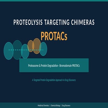 Comprehensive Overview of PROTACs: Targeted Protein Degradation in Drug ...