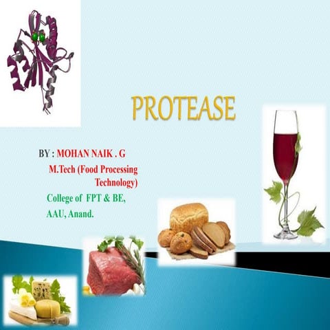 Protease Enzyme Application in Food Processing 
