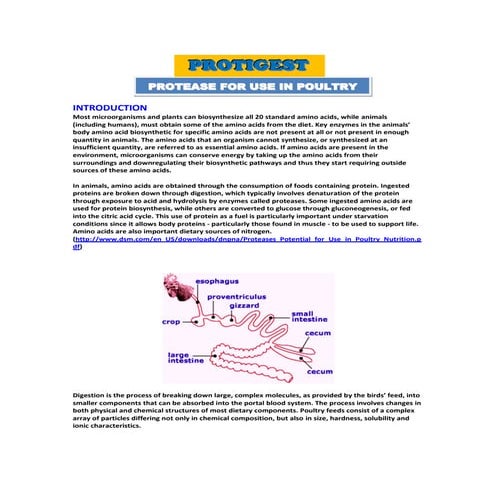 Protease for use in poultry
