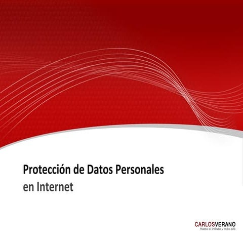 Protección de Datos Personales en Internet | PDF