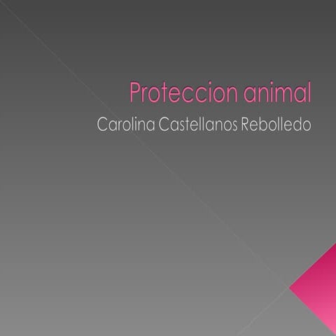 Proteccion Animal