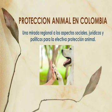 PROTECCION ANIMAL EN COLOMBIA- Gobernacion del Valle (1).pdf