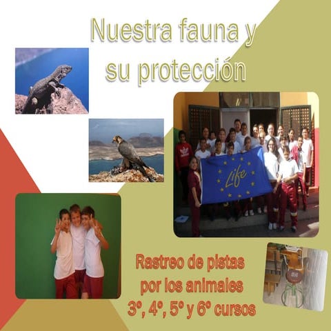 Proteccion animales