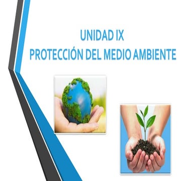 Proteccion del medio ambiente | PPTX