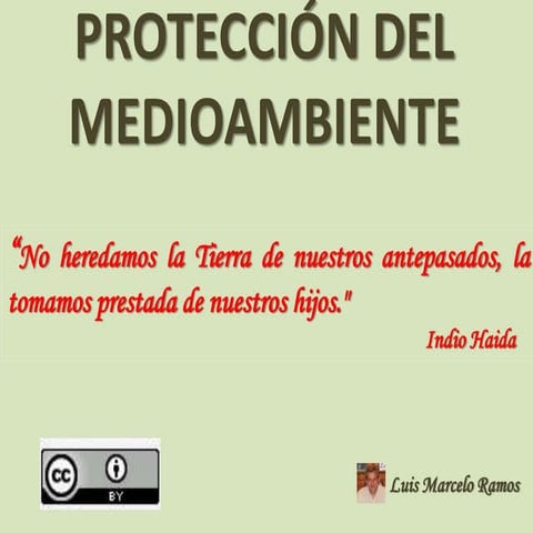 Proteccion del medioambiente   Ramos Luis