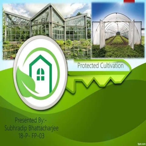 Protected Cultivation