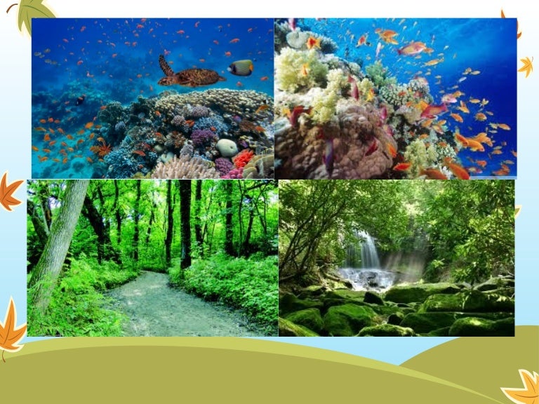 Protecting endangered plant and animal species