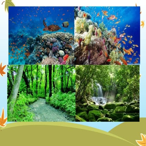 Protecting endangered plant and animal species