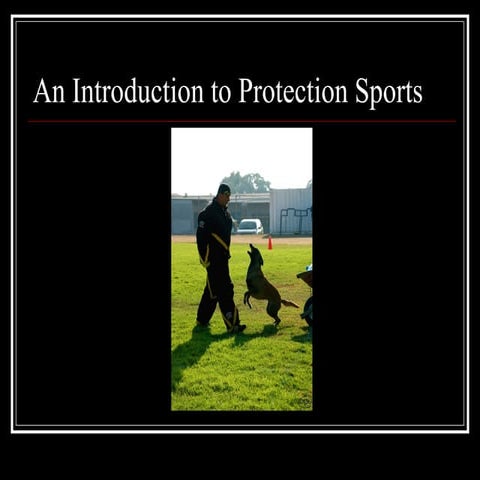 Protection Sports in Perspective