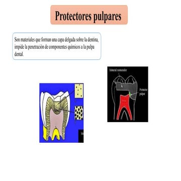 MATERIALES DE PROTECCIÓN DENTINO PULPAR | PDF