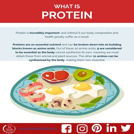 Protein 101 Pptx