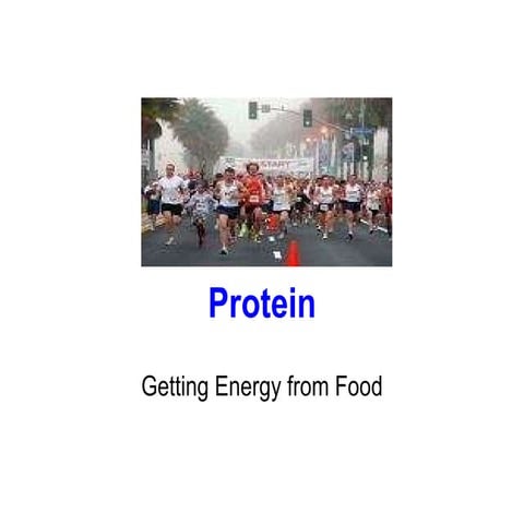  Protein