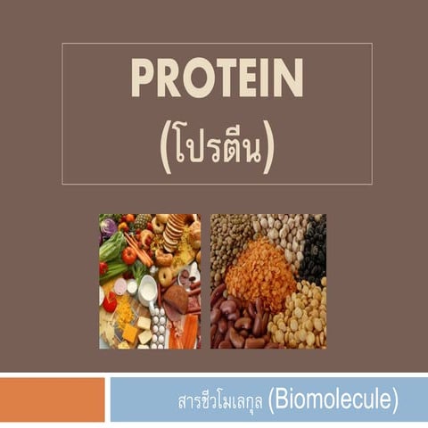 Protein
