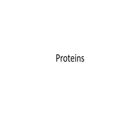 Protein.pptx