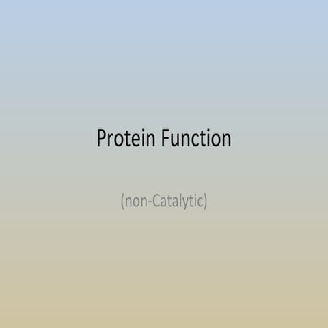 Protein  Function