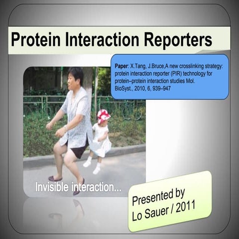 Protein Interaction Reporters : Protein-Protein Interactions (PPI) elucidated...