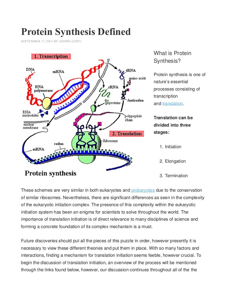 Protein synthesis defined