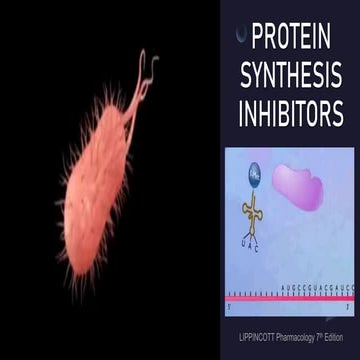PROTEIN-SYNTHESIS-INHIBITORS.pptx