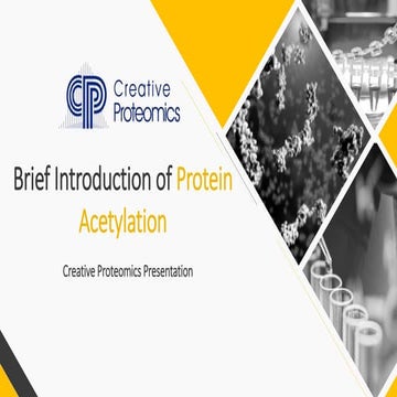 Introduction of Protein Acetylation 