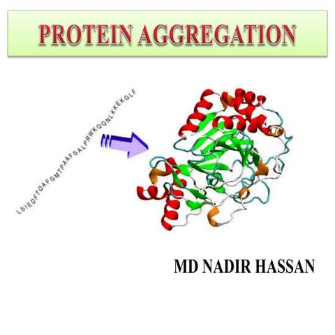 Protein aggregation