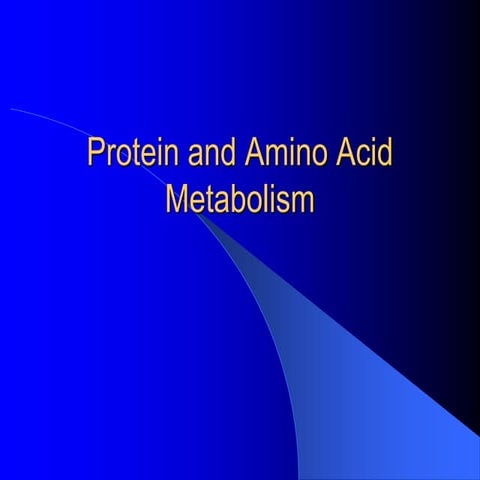 Protein and amino acid metabolism 