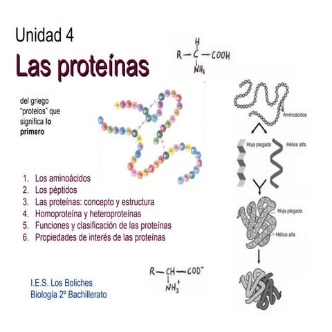 Proteínas