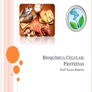 Proteinas