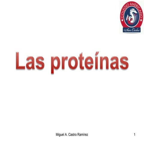 Proteínas