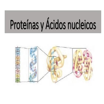 PROTEINAS_ presentacion clase biologia celular | PPTX