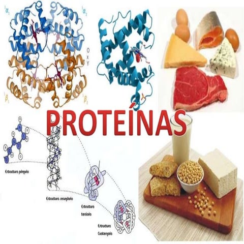 Proteinas 2nico
