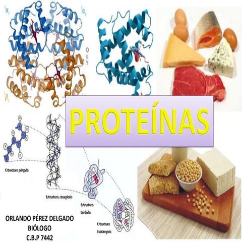 Proteínas 