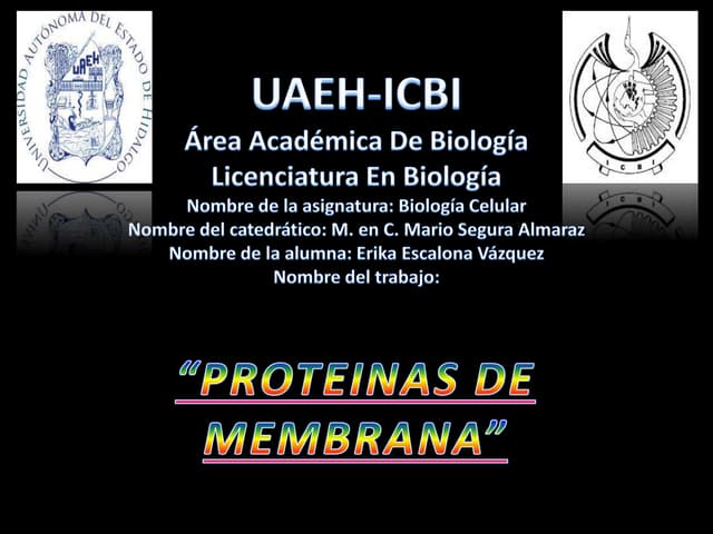 PROTEINAS DE MEMBRANA DE LAS CELULAS .pptx