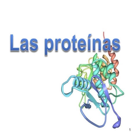 Las proteínas, clasificación y estructura