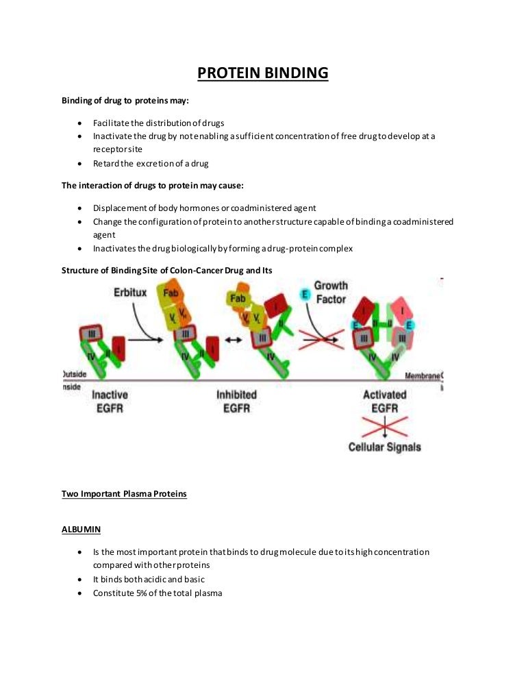 Protein binding