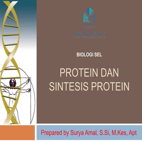 Protein dan Sintesis Protein