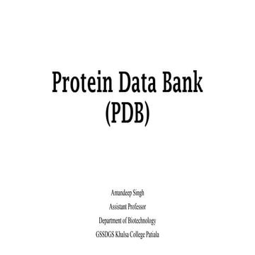 Protein Data Bank (PDB)