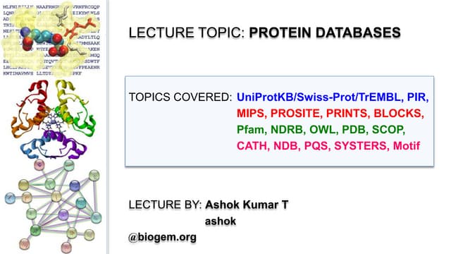 Protein Databases