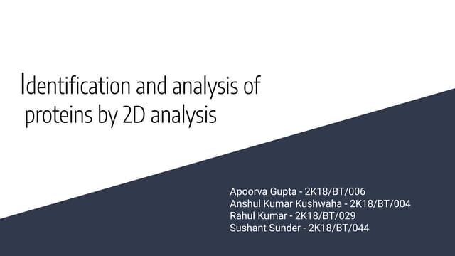 2d analysis for protein ppt