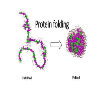 Protein folding.pdfns nznnsne ndnjfmn  fmdmnd