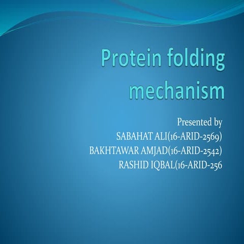 Protein Folding Mechanism